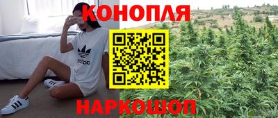 бутират Камышлов