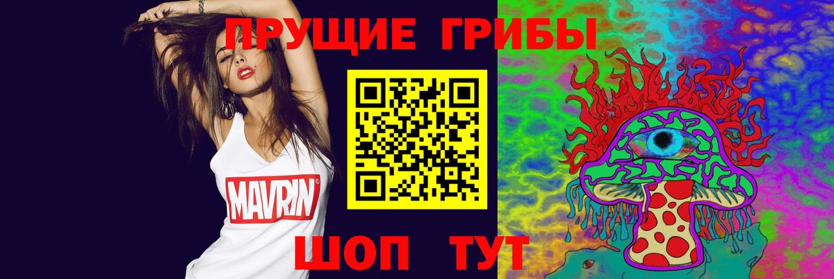 Псилоцибиновые грибы Psilocybe Лосино-Петровский